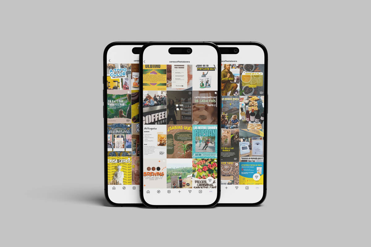 Ceres Mock up instagram2